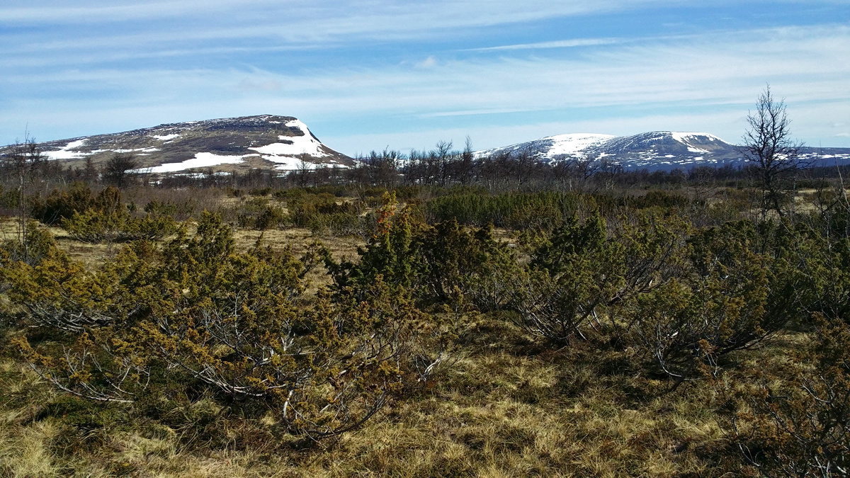 Ramundberget