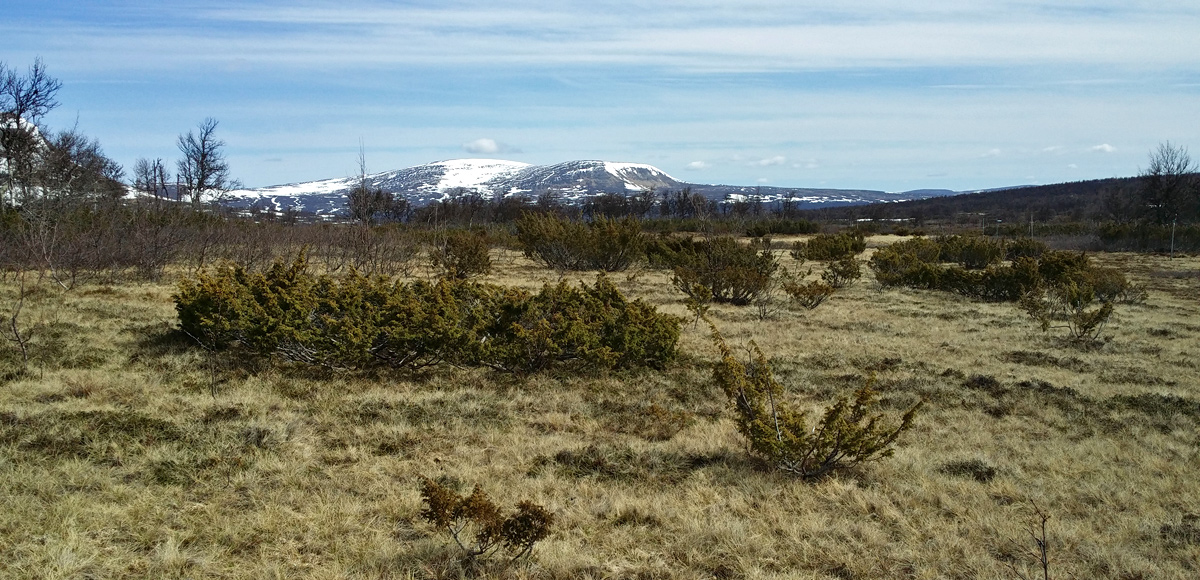 Ramundberget